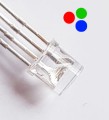 rgb50czoło.jpg